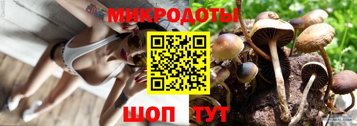 Псилоцибиновые грибы Cubensis  Вход с VPN  Оренбург 