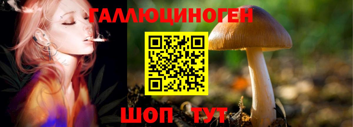 Галлюциногенные грибы Magic Shrooms Оренбург